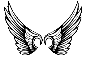 wing6